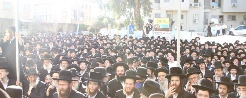 WhatsApp-Image-2023-03-28-at-19.02.53