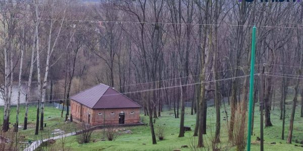 ציון בעל התניא בהאדיטש. באדיבות המצלם