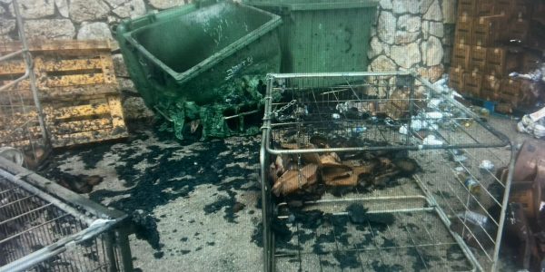 צילום: דוברות המשטרה