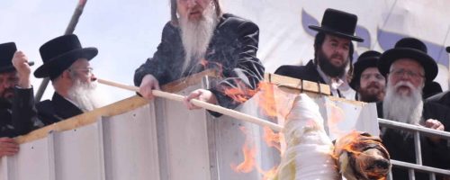 WhatsApp-Image-2023-05-09-at-15.28.50