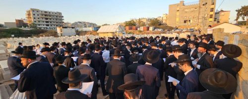 WhatsApp-Image-2023-06-28-at-19.33.38