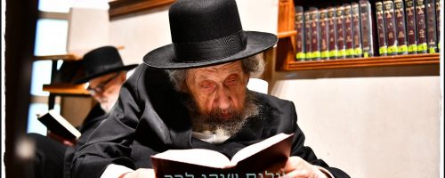 WhatsApp-Image-2023-07-27-at-15.50.54