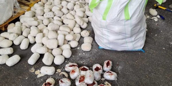 WhatsApp Image 2023-09-18 at 11.11.54