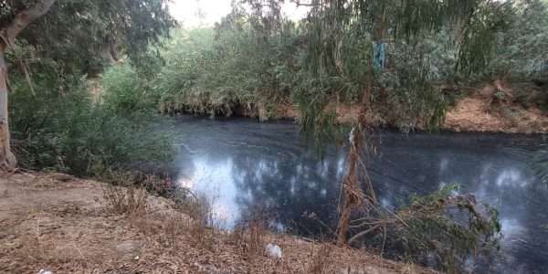 הזיהום בנחל שורק. צילום: ד"ר יריב מליחי