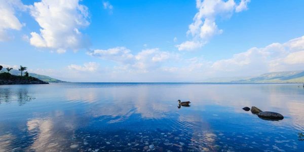 צילום- ורד מנור, מנהלת חוף צמח באיגוד ערים כינרת