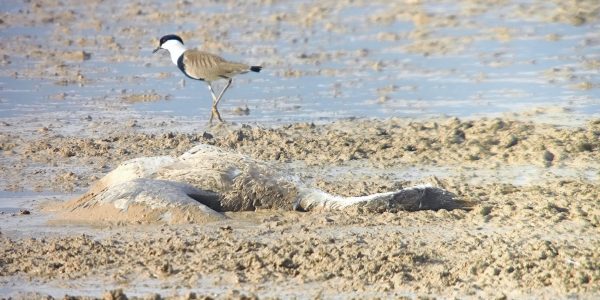 WhatsApp-Image-2024-02-12-at-11.15.07