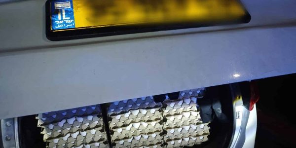 WhatsApp Image 2024-03-19 at 10.52.31