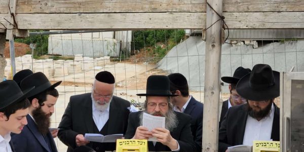 WhatsApp-Image-2024-03-26-at-7.48.20-AM