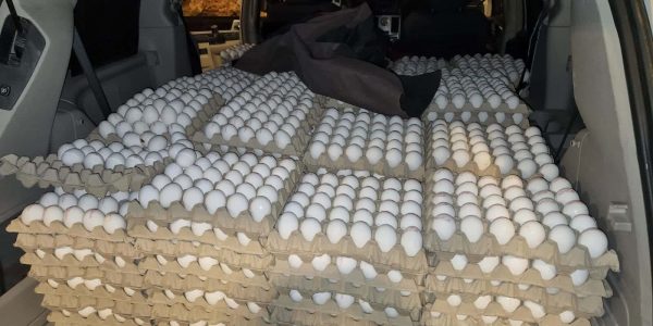 WhatsApp Image 2024-04-18 at 11.33.35 (2)