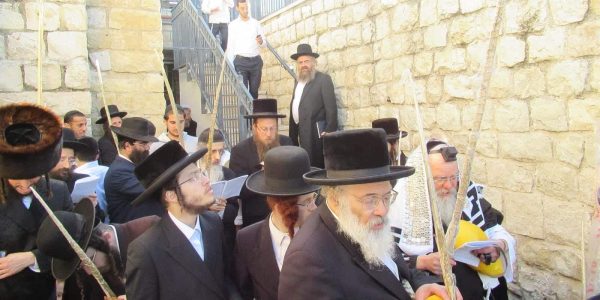 מירון - צילום המצלם