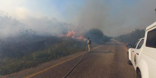 השריפה בגליל העליון. צילום: כב"ה והצלה - צפון