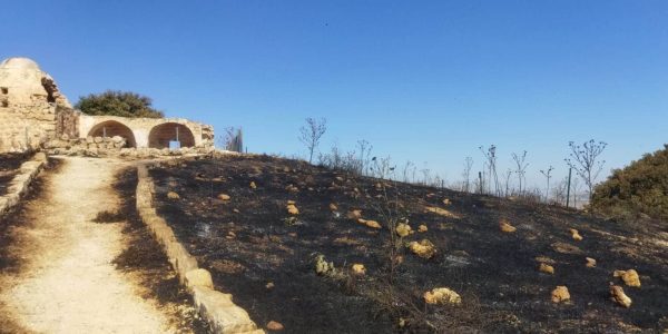 הר כביר שרוף. קרדיט: שרה קורליק