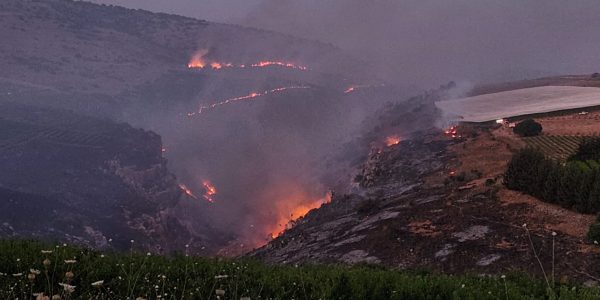 נחל אביב עולה באש. צילום: רשות הטבע והגנים