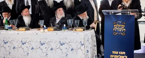 WhatsApp-Image-2024-06-25-at-06.59.01