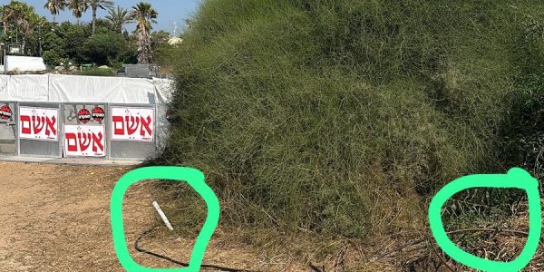 צילום: דוברות המשטרה