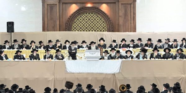 צילום: משה גולדשטיין