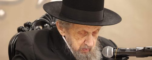 מרן ראש הישיבה הגר"ד לנדו. ללא קרדיט