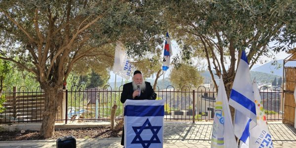 WhatsApp Image 2024-10-29 at 16.47.03