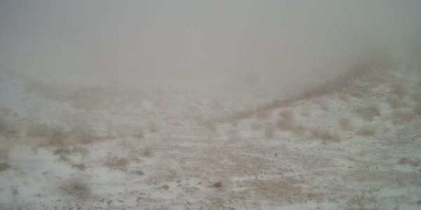 שלג בחרמון. צילום: מצלמות האתר