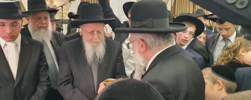 WhatsApp Image 2025-02-03 at 11.58.04 (1)