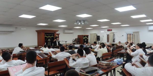 WhatsApp Image 2025-03-18 at 10.43.19 (1)