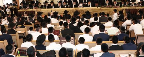 WhatsApp Image 2025-04-09 at 22.25.47 (1)