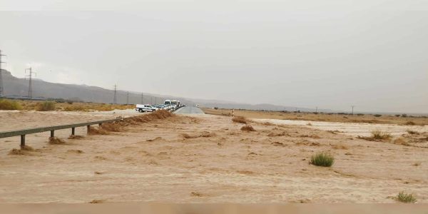 קרדיט דוברות המשטרה