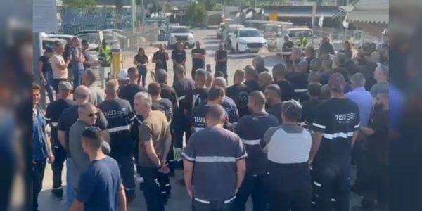 WhatsApp Image 2025-07-24 at 11.53.30