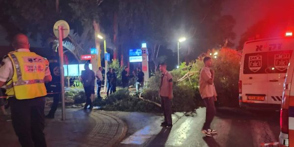 זירת האירוע קרדיט דוברות זק"א