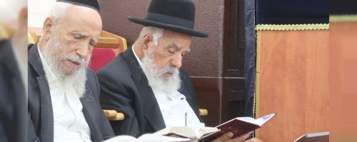 WhatsApp Image 2025-08-03 at 18.46.35