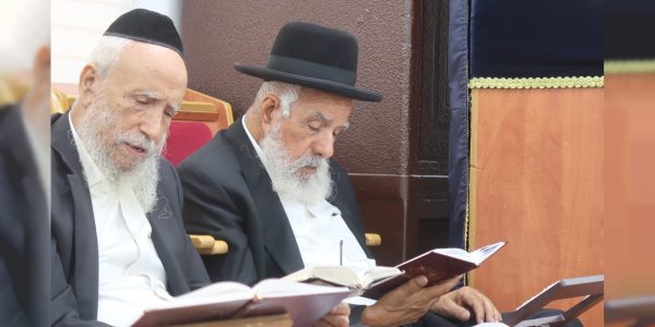 WhatsApp Image 2025-08-03 at 18.46.35