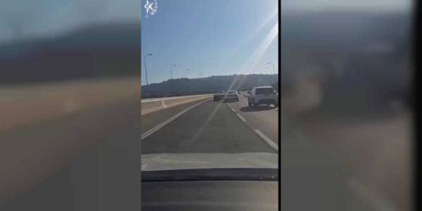 WhatsApp Image 2025-08-06 at 17.50.15