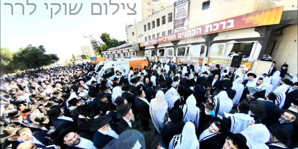 WhatsApp Image 2025-08-07 at 18.04.08