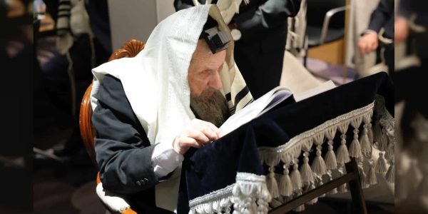 הגר"ד לנדו  צילום: מוטי גרין