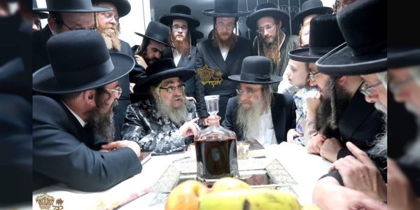 צילום: שמואל דריי