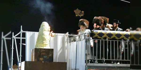 WhatsApp Image 2025-11-23 at 12.03.55 (1)