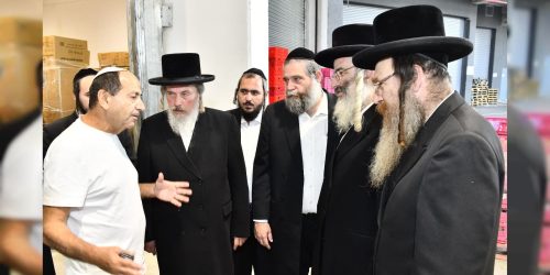 WhatsApp Image 2025-12-04 at 16.48.52