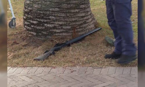 הרובה בו השתמשו הרוצחים   צילום: לפי סעיף 27א