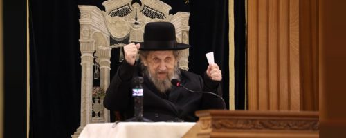 צילום: חיים גרוסמן