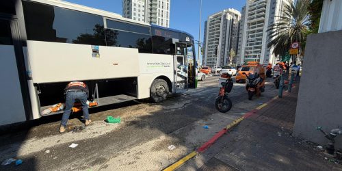 קרדיט: איחוד הצלה