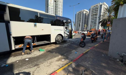 קרדיט: איחוד הצלה