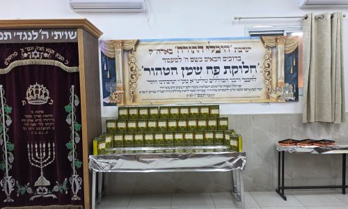 WhatsApp Image 2025-12-18 at 08.31.56 (6)