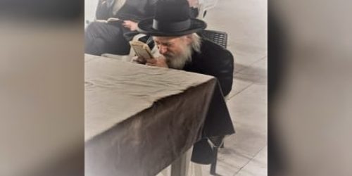 הגאון רבי אביעזר שפירא