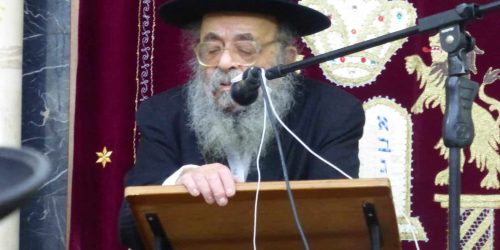 הגר"ד שמידל