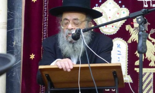 הגר"ד שמידל