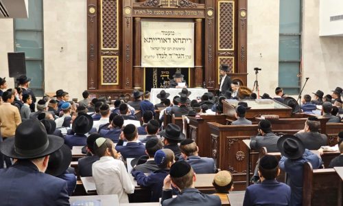 WhatsApp Image 2025-12-21 at 08.41.39 (2)