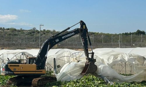 הריסת החממות