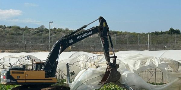 הריסת החממות