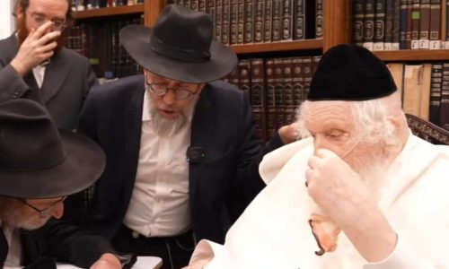 הרב משה שטרנבוך