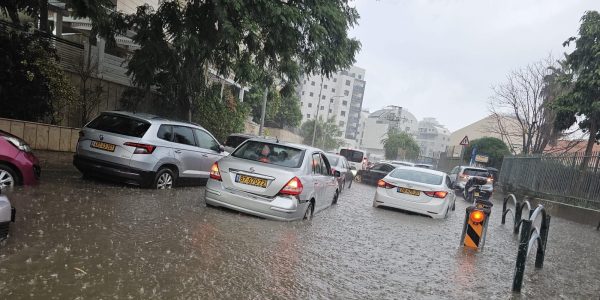 צילום: משה יום טוב